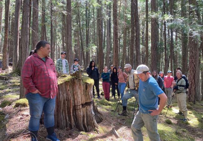 people in forest